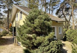 W: Strandhaus Dünenweg 17a mit Terrasse/Sauna/Kamin