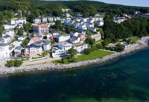 Silbermöwe