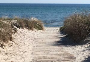 Strandkörbchen