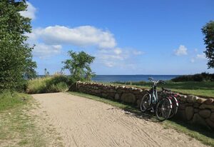 exklusive Reetdach-Villa Ostseefrische – exklusive Reetdach Villa nur 500 Meter bis zum Strand