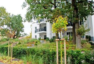 Ferienwohnung mit Balkon inkl. Strandkorb Ostseebad Binz (4)