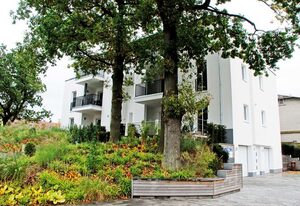 Ferienwohnung mit Balkon inkl. Strandkorb Ostseebad Binz (4)