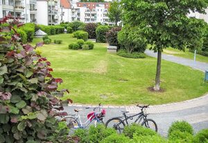 Kamelienweg