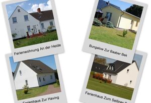 Ferienhäuser Baaber Heide – Ferienhaus (2) Zur Having