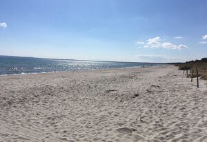 Strandwohnung Wassermusik