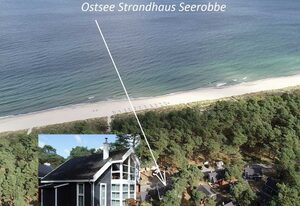 Ostsee Strandhaus Seerobbe