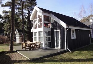 Ostsee Strandhaus Seerobbe