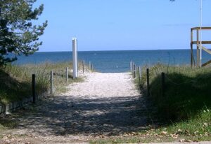 Ostsee Strandhaus Seerobbe