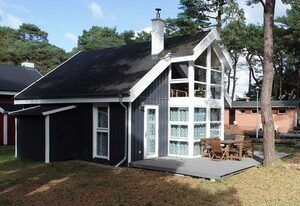 Ostsee Strandhaus Seerobbe