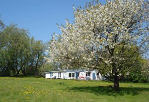 Ferienhaus mit Terrasse und großer Sonnenwiese