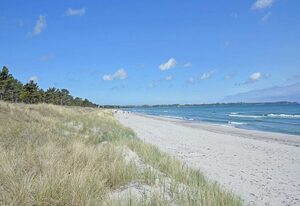 Strandhuhn
