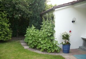 Haus Friesia – 4-Raum-Ferienhaus 010/001