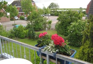 BUE - Haus Wildrose – 002-Bonn (TMS)(BC.a3)