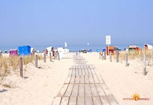 Warnemünde Schilfgras 44798