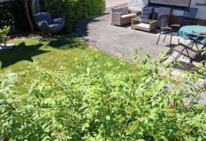 Ferienwohnung Wirtz – 4-Bett-Ferienwohnung Bad/WC, 2 Schlafräume