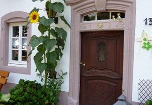 Ferienwohnungen Bauernhof Heck – 3-Bettwohnung Dachgeschoß links