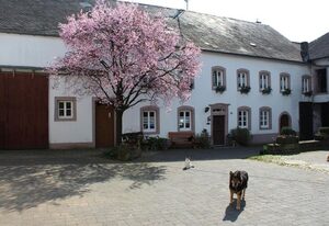Ferienwohnungen Bauernhof Heck – 3-Bettwohnung Dachgeschoß links