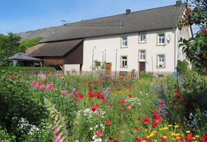 Bauernhausferien Eifel Erleben – 8-Bett Ferienhaus, Dusche/WC, 4 Schlafzimmer