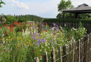 Bauernhausferien Eifel Erleben – 8-Bett Ferienhaus, Dusche/WC, 4 Schlafzimmer