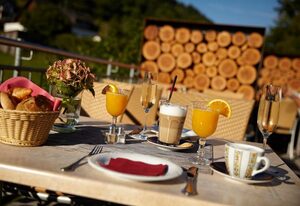 NaturPurHotel Maarblick – Einzelzimmer Sternengucker, Du/WC/Balkon