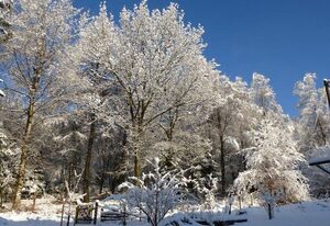 Haus Sonnentau, Ferienwohnungen – 6-Bett-Ferienwohnung Brettbaum