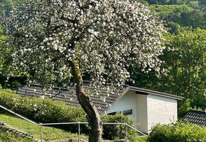 Landhaus am See 934
