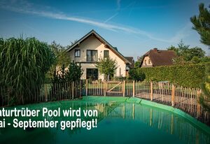Ferienhaus MountFrosch mit Sauna und Naturpool