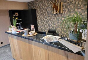 DER Hirsch – Classic Zimmer Dusche/WC