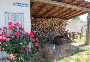 Siechhaus Café – Einzelzimmer Dusche/WC