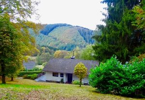 Schöne Aussicht am Eifelsteig, Ferienhaus – Ferienhaus bis 6 P.- Schöne Aussicht am Eifelsteig