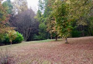 Schöne Aussicht am Eifelsteig, Ferienhaus – Ferienhaus bis 6 P.- Schöne Aussicht am Eifelsteig