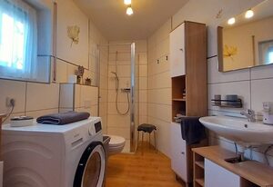 Eifel Urlaub mit Hunden Ferienhaus Schwalbennest Schalkenmehren
