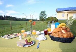 Hubertushof Eifel – Ferienhaus "Meise" für 4 Personen, Erdgeschoß