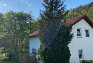 Ferienhaus Forellennest am Waldrand – 6-Bett Ferienhaus, 2x Bad/WC, 3 Schlafräume