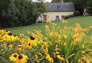 Ferienhaus Altes Backhaus