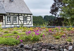 Ferienhaus Landleben auf Zeit – 4-Bett-Ferienhaus Dusche/WC