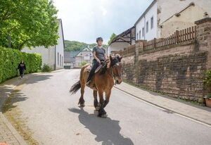Ferien auf dem Nengshof – Ferienhaus Heublume -  bis zu 20 Personen