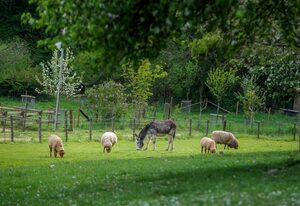 Ferien auf dem Nengshof – Ferienhaus Heublume -  bis zu 20 Personen