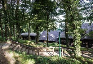 Waldhaus Anne – Ferienhaus
