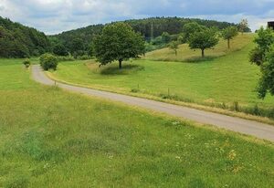 Naturblick