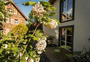 Ferienhaus LindGrün – Ferienhaus LindGrün bis 8 Personen
