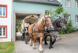 Nengshof – Gartenhaus Wegerich