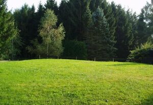 Eifelcottage Rehwiese