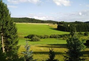 Eifelcottage Rehwiese