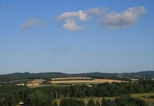 Eifelcottage Wildvogel
