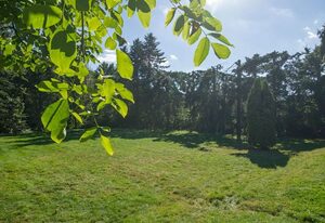 Gemütliches Ferienhaus in Hasenfeld mit Großem Garten