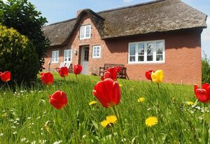 Ferienhaus Ockholm auf der kleinen Gaarde