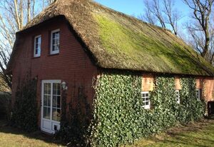 Lütte Hus – Ferienhaus 3 Räume