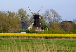 Windmühle Catharina