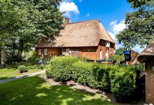 Reetdachhaus inmitten von Wiesen und Feldern